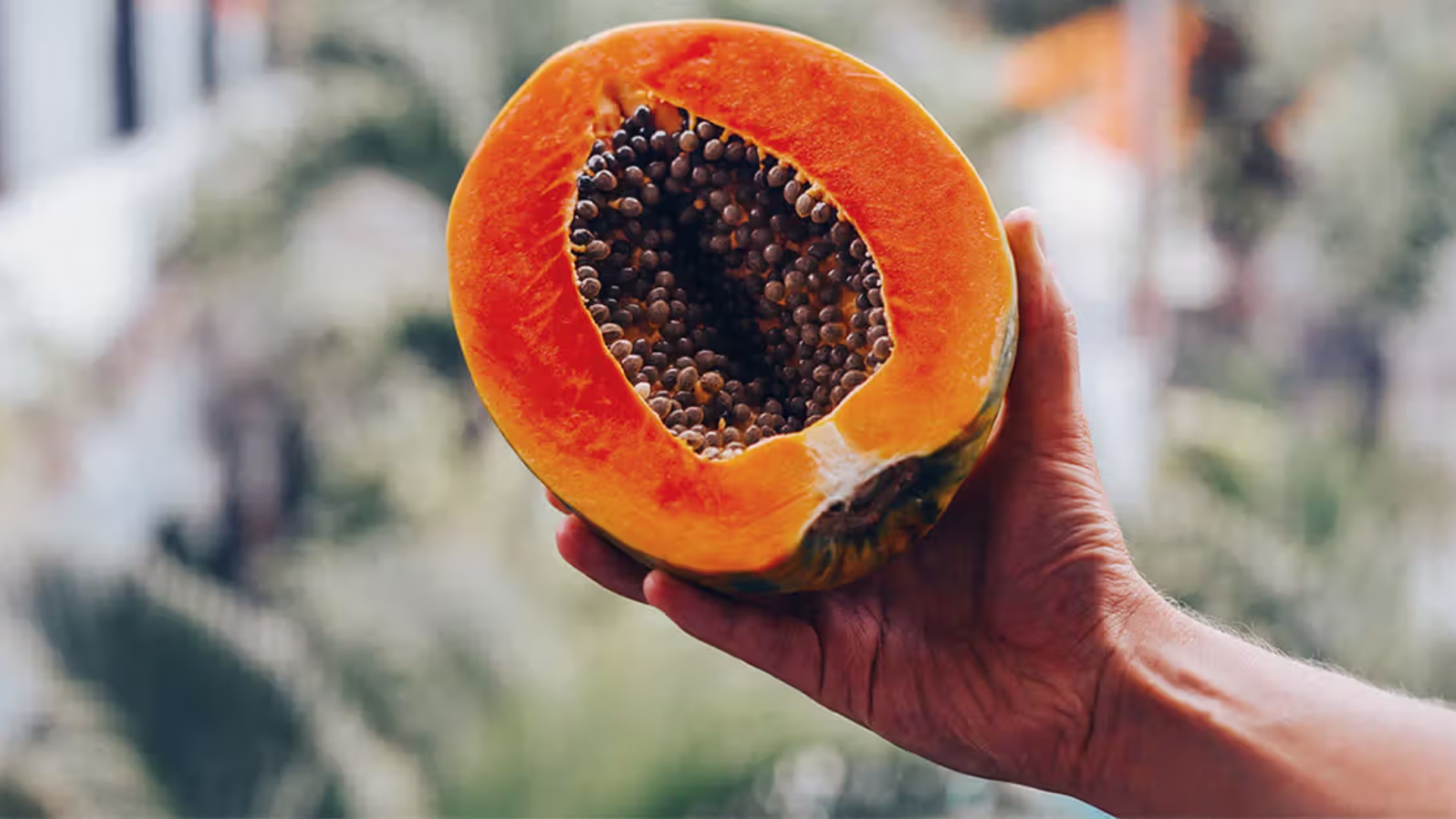 Ekspertët  Mund të hani fruta me krimba  por jo të mykura  apo të kabura 