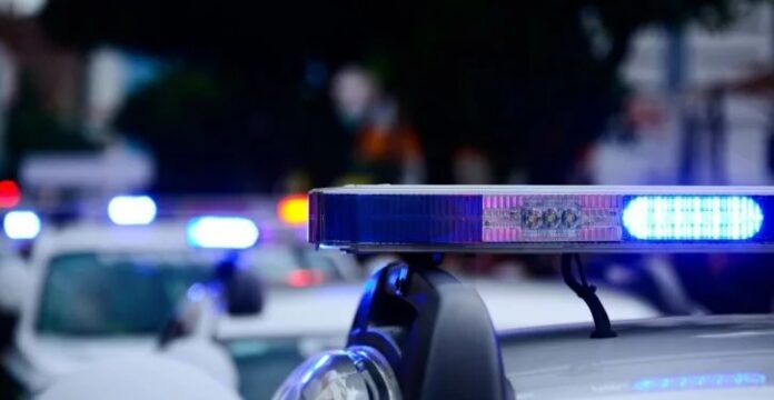  Gruaja solli pistoletën  burri gjuajti  E dogjën viktimën dhe e groposën   Prokuroria kërkon paraburgim për dy persona në lidhje me vrasjen në rajonin e Gostivarit