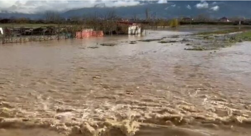 Situatë e rënduar në Pogradec  dy lumenjtë Starovë e Vërdovë dalin nga shtrati
