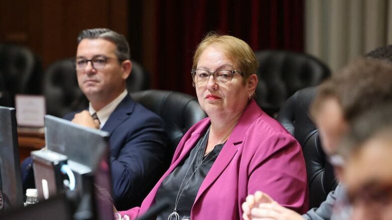 Janevska për pushimin dimëror  Gripi nuk merret vetëm në shkolla  por edhe në rrugë dhe gjatë skijimi