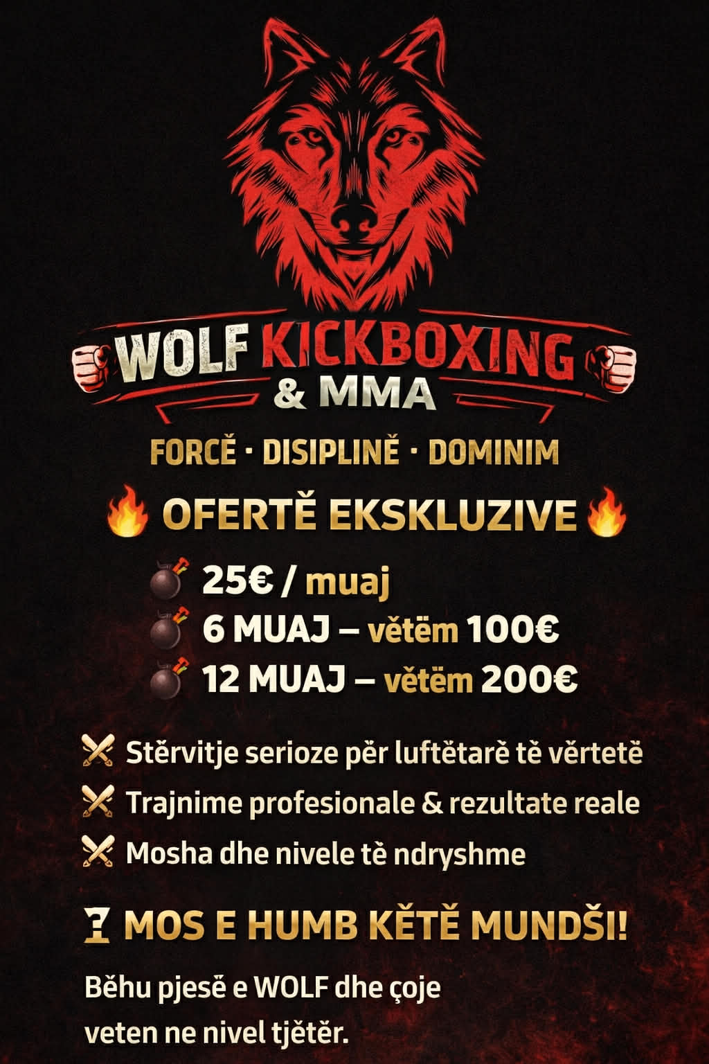 “Wolf Kickboxing & MMA hap dyert për anëtarë të rinj”: “ Këtu fillon rrugëtimi yt në sportet luftarake”